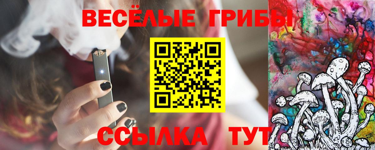Галлюциногенные грибы GOLDEN TEACHER Саранск