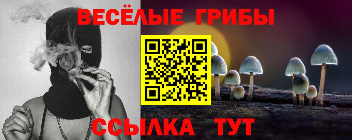 Саранск  Псилоцибиновые грибы ЛСД  цены   Вход с VPN 